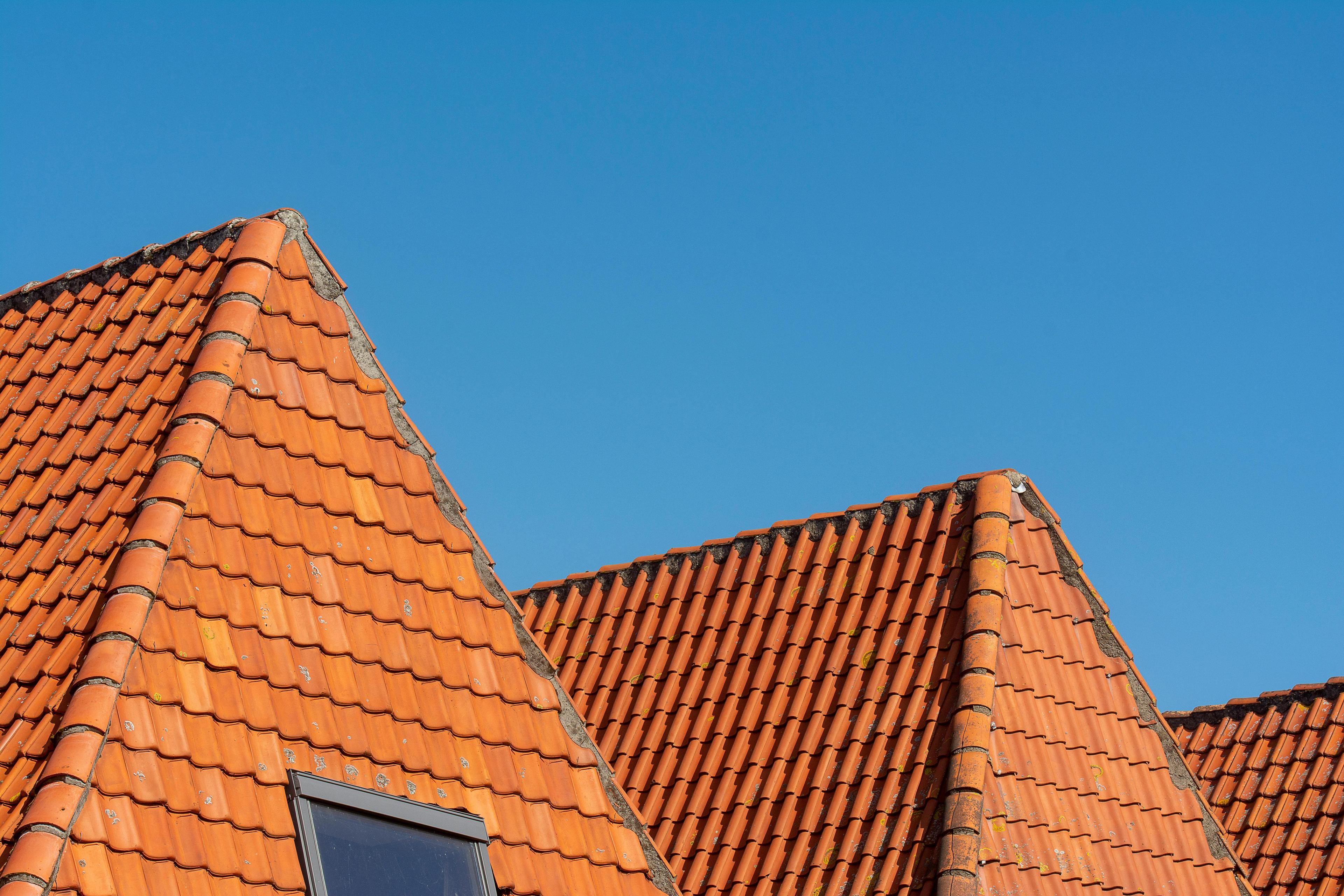 Rough Roof to Refined Terrace: Designer David Nosanchuk on Creating a Livable Space