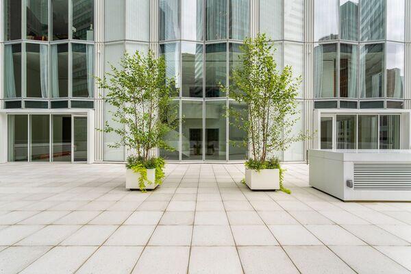 100 east 53 #10/11